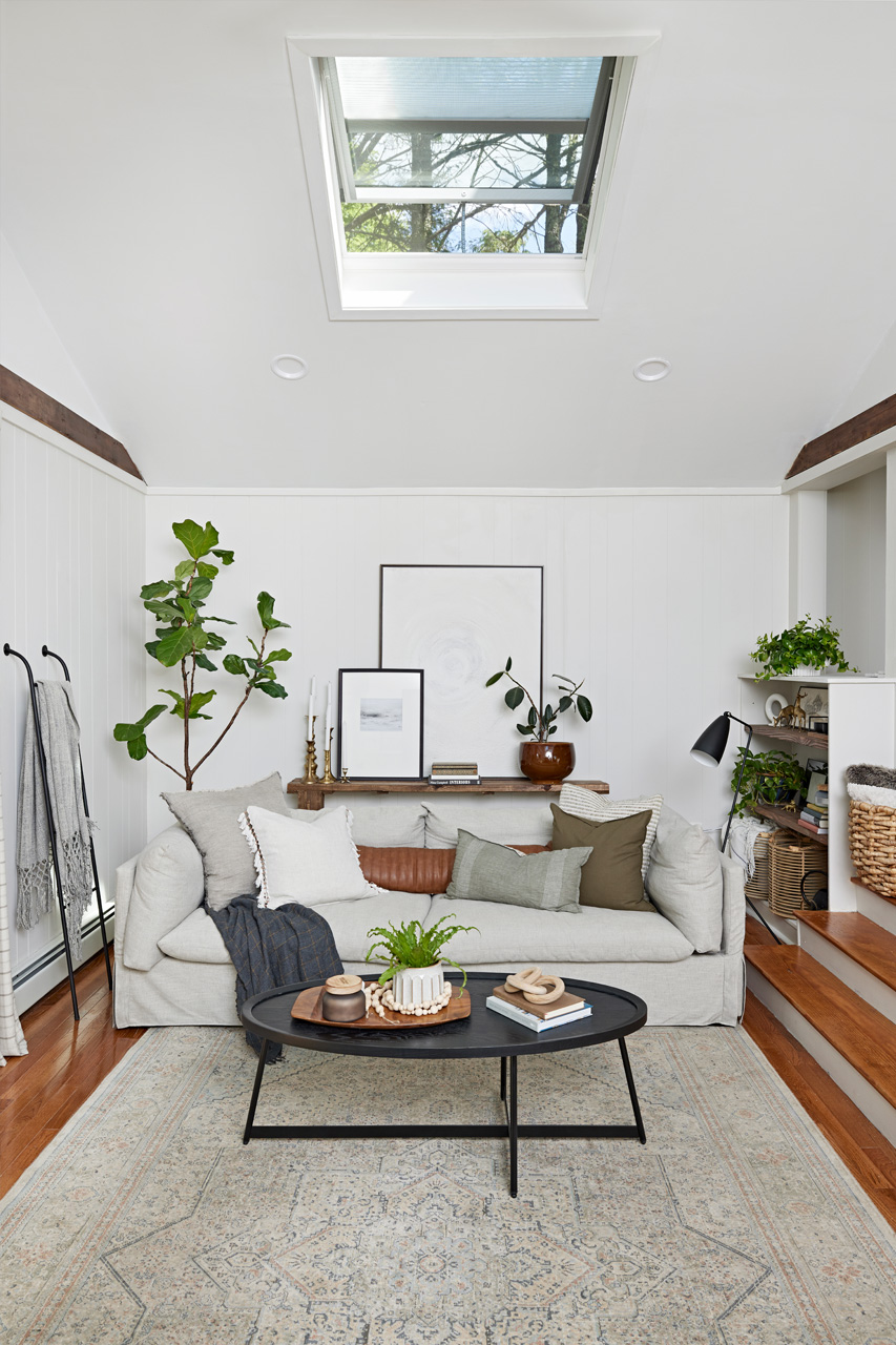 Carli-alves-4029-SkylightsVSS-Living-Room-After
